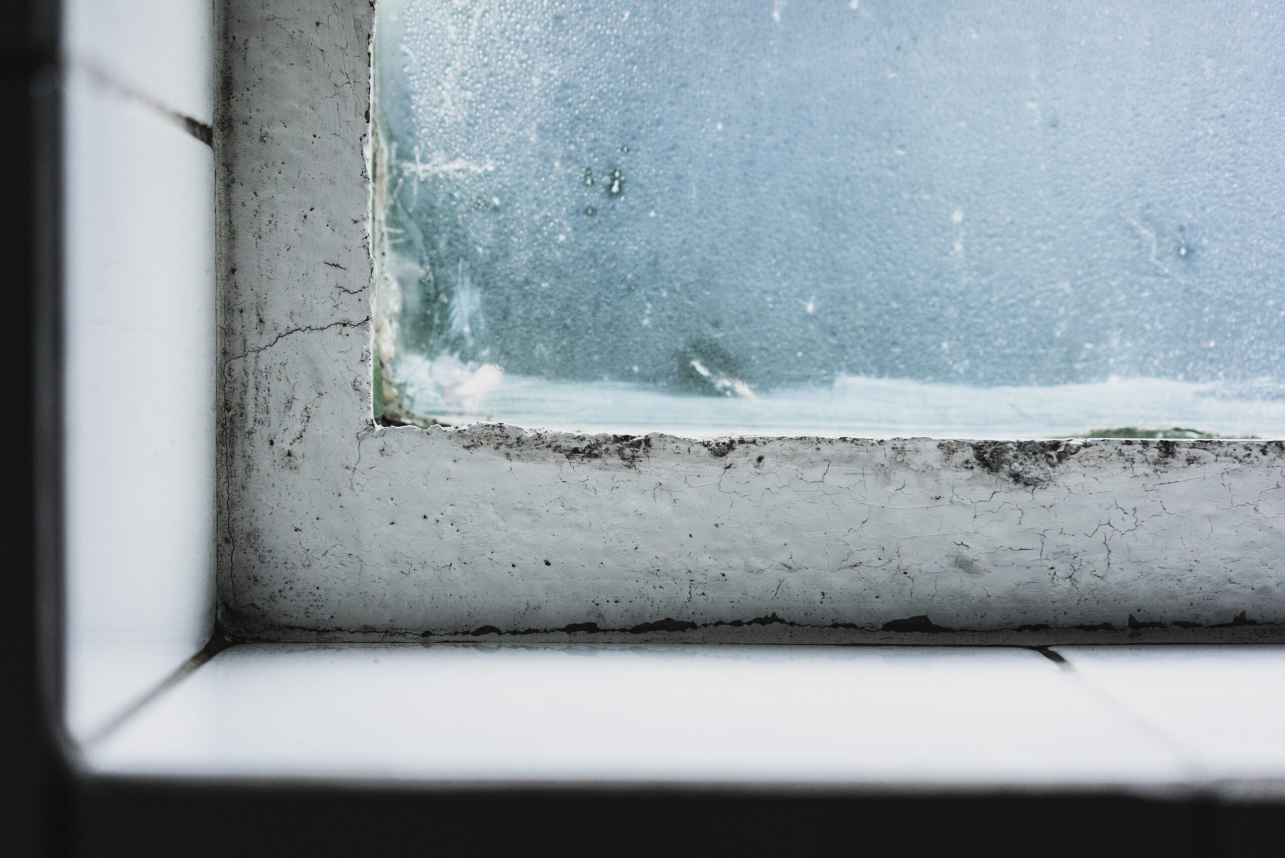 Comprehensive property inspection services to evaluate the condition of your home or building.